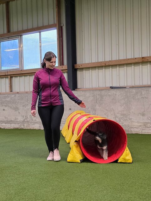 Ausgleich zum Berufsalltag: Beim Agility-Training findet Petra Konzentration, Bewegung und Abstand vom Projektgeschäft. (Bilder: Janmaat Fotografie, zVg)